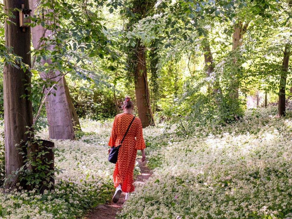 Lopende vrouw in het stadspark
