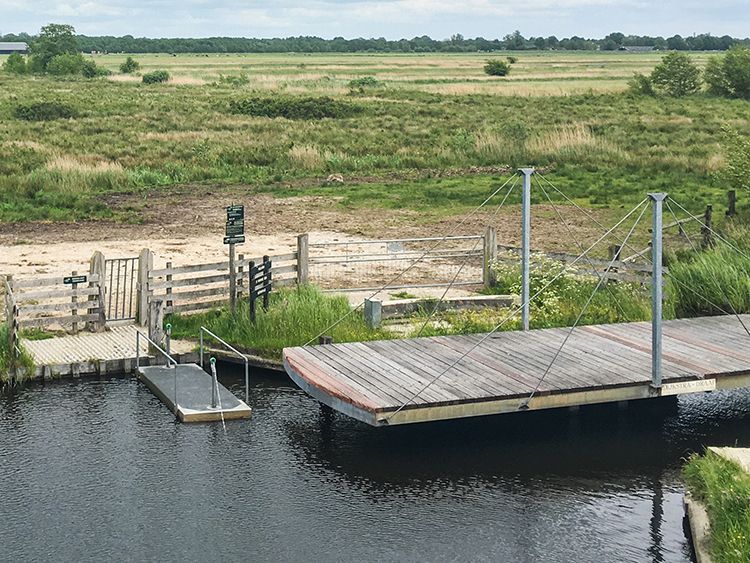 Het pontje ligt naast een draaibrug voor koeien.