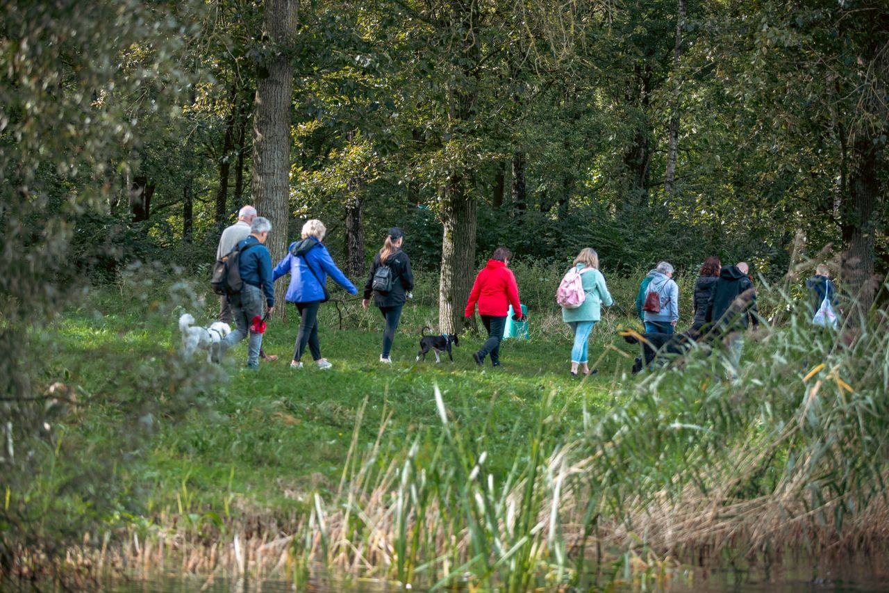 groep ouderen aan het wandelen met honden