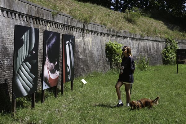 Vrouw kijkt naar foto's in de buitenlucht