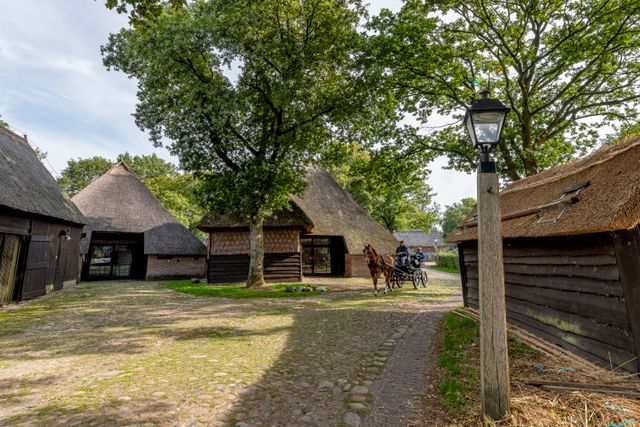 Een paard en wagen rijdt in Orvelte tussen de boerderijen door.