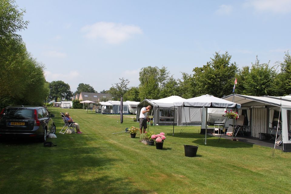 Schaduwrijk kampeerveld met bomen en diverse caravans.