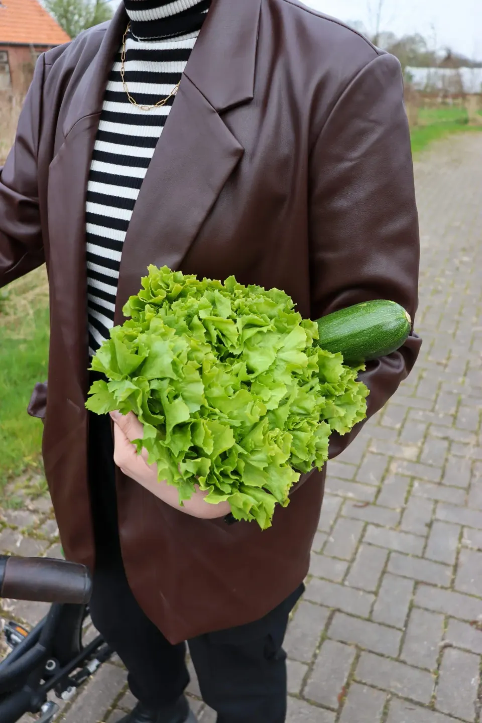 Fiets Foodtour Smallingerland
