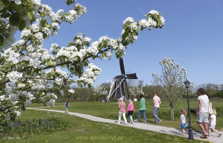 Speurtocht over het museumterrein