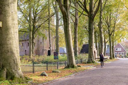 Naar de wijken