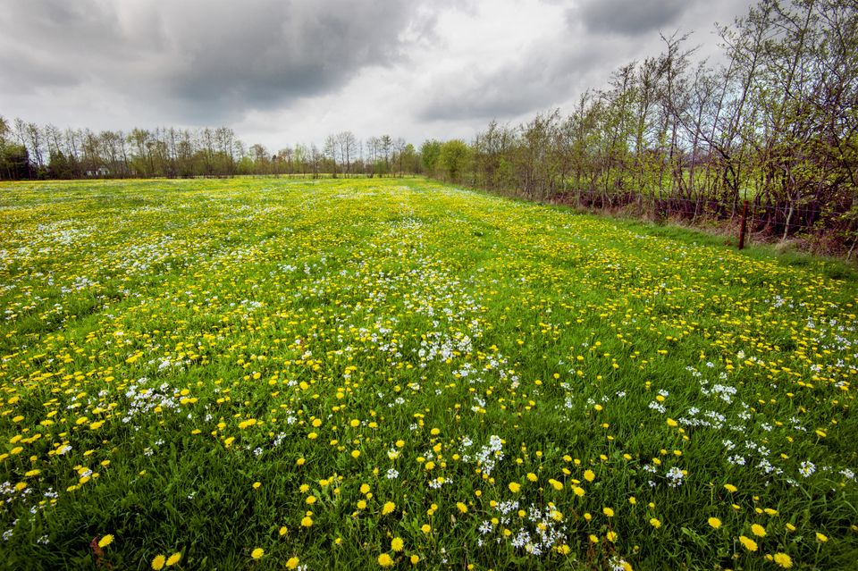 Drachten - Rottevalle | Wandelroute