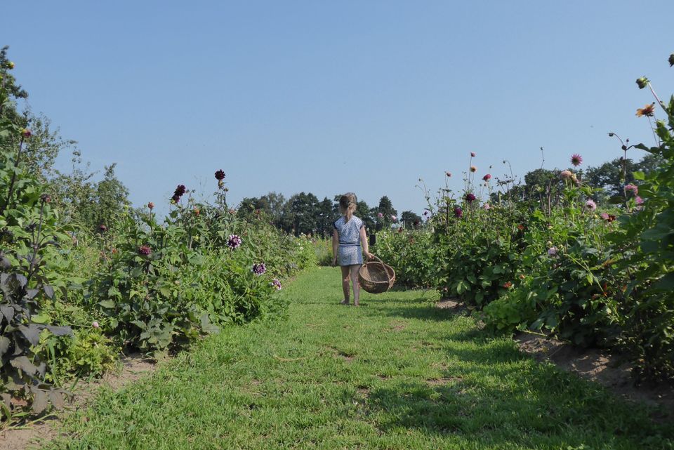 Meisje tussen de bloemen in de pluktuin