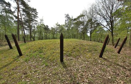 Grafheuvels Haarterheide