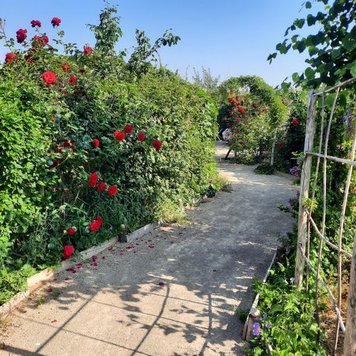 Toegang tot de middeleeuwse tuinen.