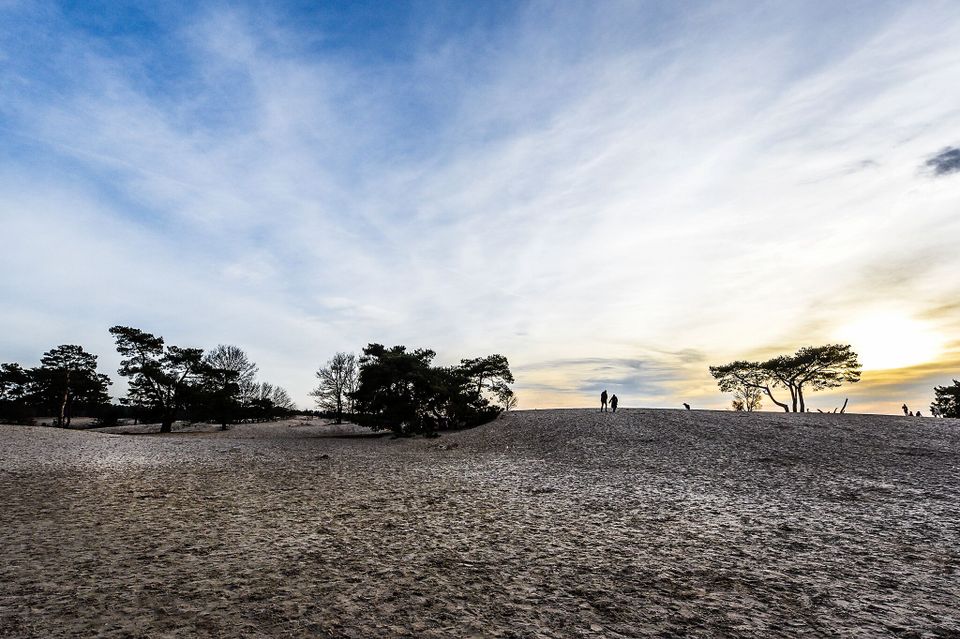 Soestduinen