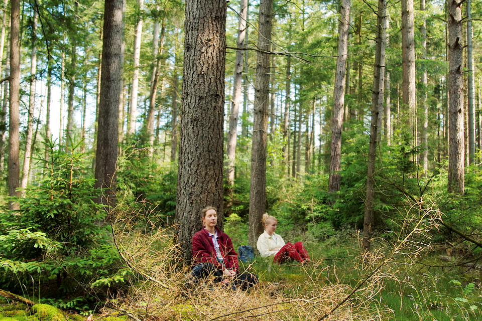 2 mediterende vrouwen leunend tegen de stam van een boom in de Drentse natuur.