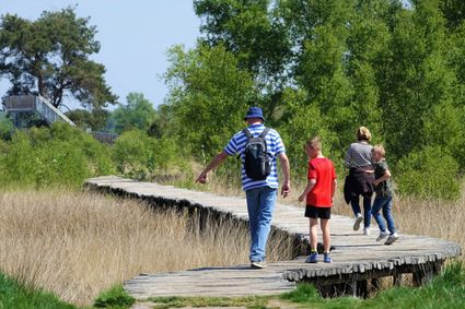 een gezin wandelt over een knuppelbruggetje