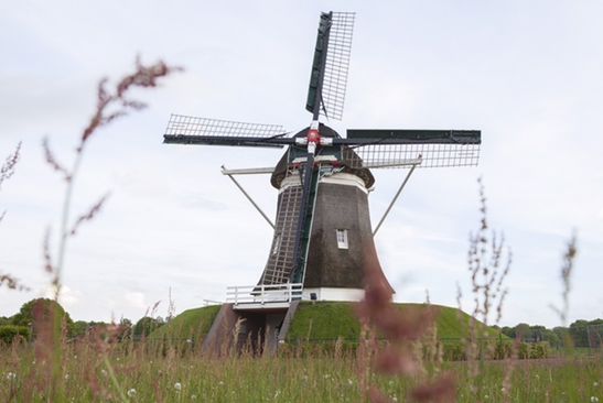 Molen de Hoop