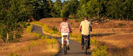 beekhuizerzand fietsen