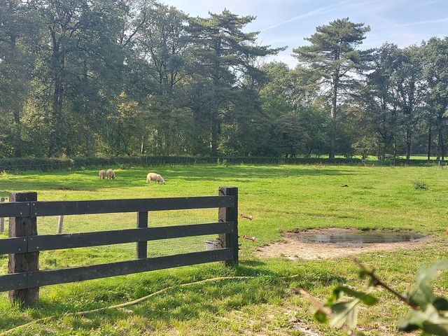 Uitzicht over de velden