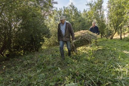Mannen aan het werk in de kwelstrook