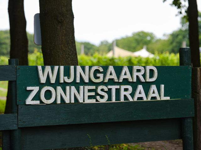 wijngaard Zonnestraal