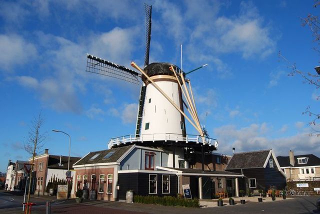 Historische windmolen met brouwerij De Molen in Bodegraven, onder een blauwe lucht, waar ambachtelijk bier wordt gebrouwen in het Groene Hart.