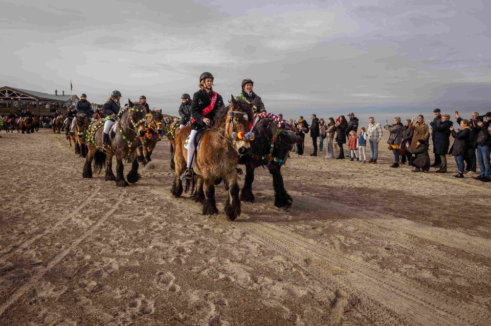 Op-Schouwen-Duiveland-Strao-Rieen-Renesse