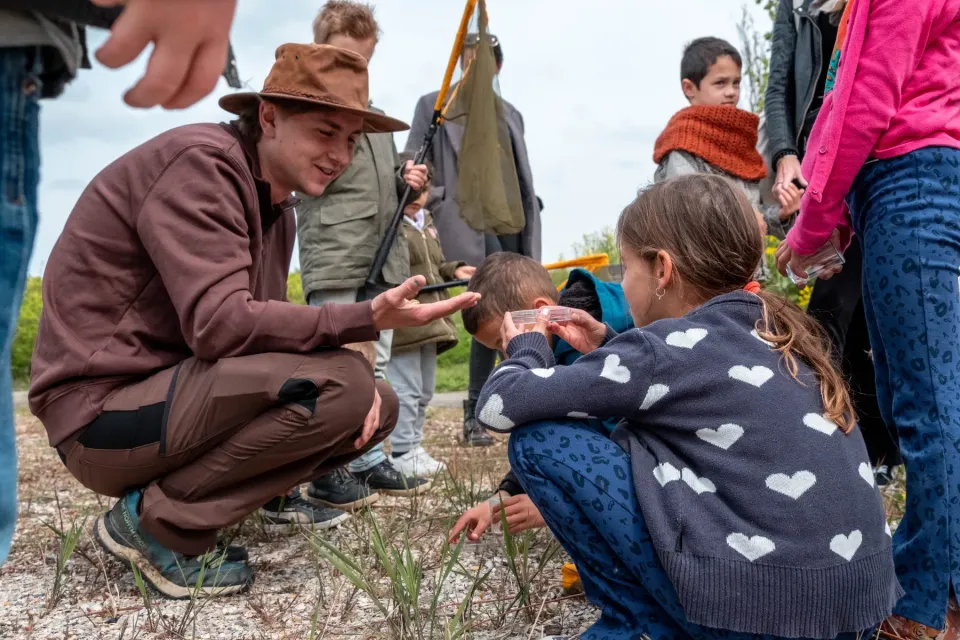 Kemphaan kriebelbeestjesfeest