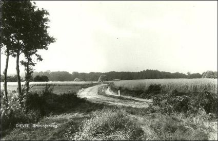 Es van Diever