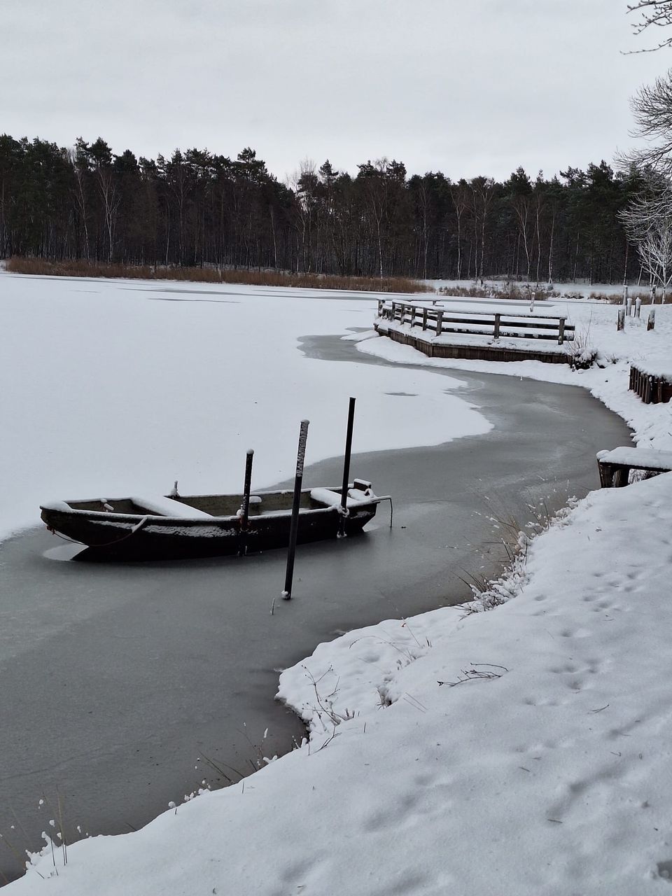 Winter bij de visvijver