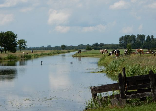 Uitzicht over de Lange Vliet in Polsbroek