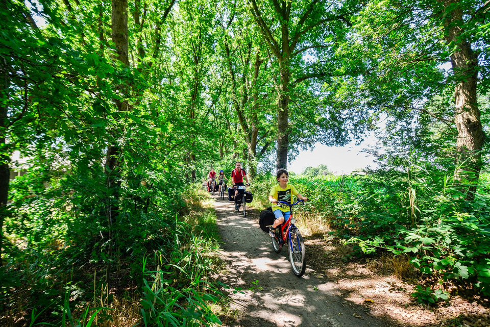Gezin fietst over een onverhard pad door een groen bos op de Utrechtse Heuvelrug. De foto laat recreatief fietsen in de natuur zien, met veel groen en een ontspannen sfeer.
