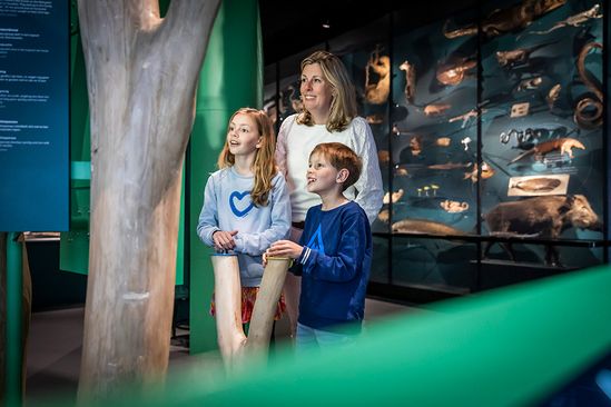 Kerstvakantie in het UMU