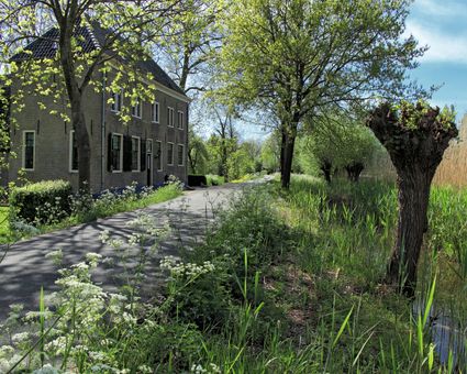 Monumentaal landhuis Leeuwenhuis aan een lommerrijke landweg in Cabauw met groene luiken, bloeiend fluitenkruid, knotwilgen en een sloot in de lentezon.