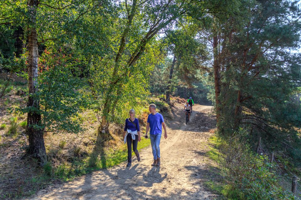 Wandelaars en mountainbikers in natuurgebied de Mookerheide vlakbij Nijmegen.
