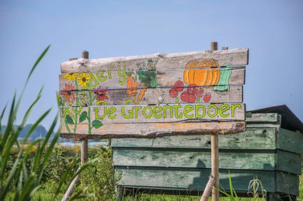 Tuinderij De Groenteboer bij De Boerinn in Kamerik, Groene Hart, verse biologisch geteelde wortels met aarde eraan net geoogst uit de moestuin tijdens een duurzame dagactiviteit op het platteland.