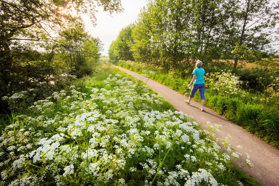 Streekpad Noardlike Fryske Wâlden