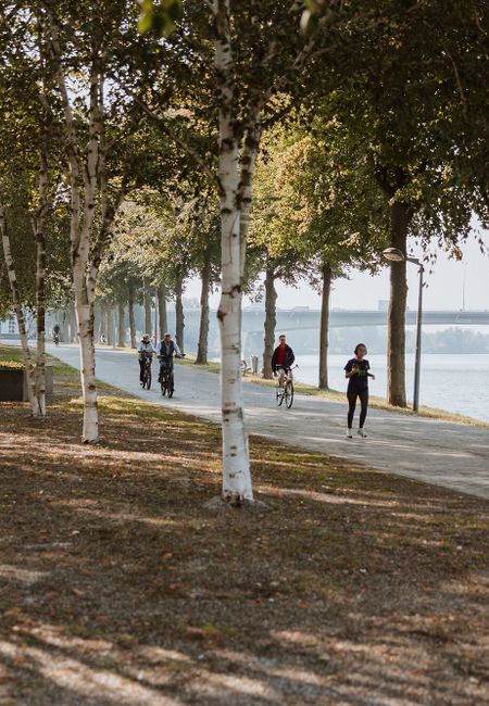 Charles Eyckpark Maastricht wandel en fietspad langs de maas