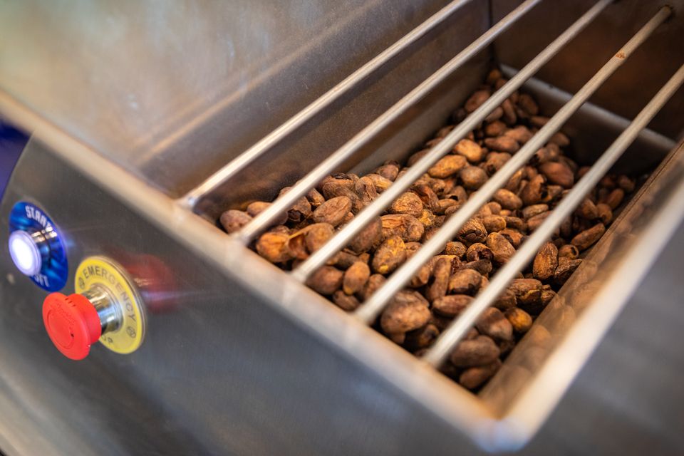 Cacaobonen in een verwerkingsmachine bij Choco Made in Alphen aan den Rijn – ambachtelijk chocoladeproces, Hollandse Ambachten Utrecht Region.