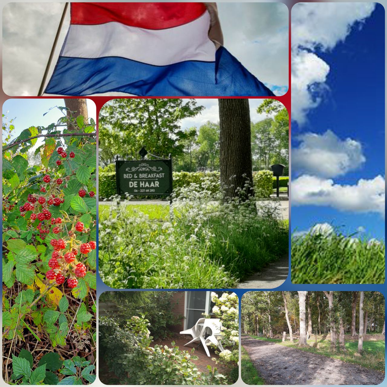 B&B de Haar Marum