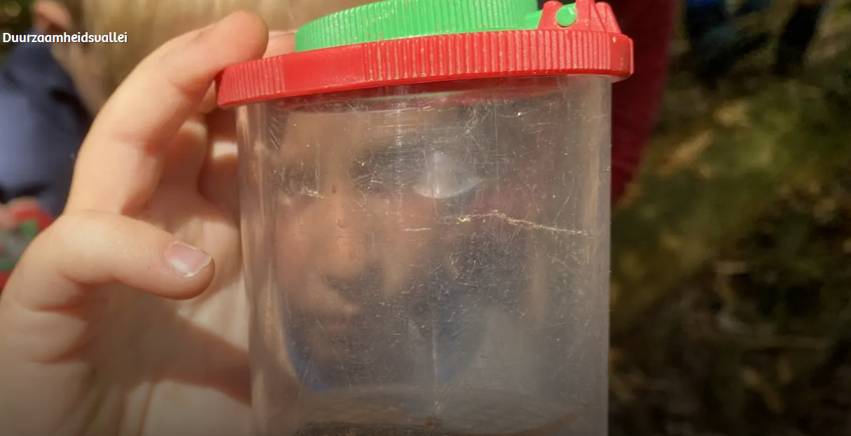 Een kind houd een plastic potje vast met een klein beestje erin