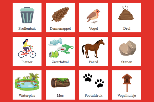 Een bingokaart met daarop illustraties van dingen die je in de natuur tegenkomt.