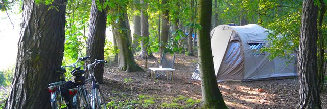 Kampeerplek tussen de bomen met een witte tent en fietsen.