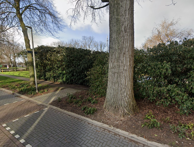 De Haagbeuk in Purmerend