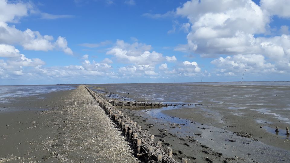 Het wad bij Noordpolderzijl