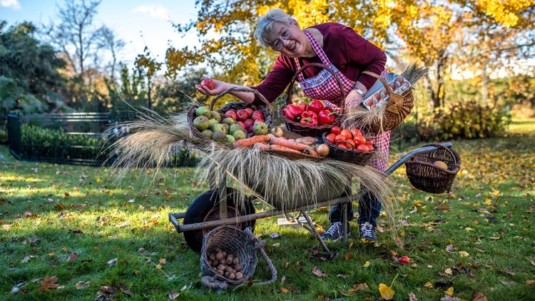 Streekwinkel Betsies hof in Asten