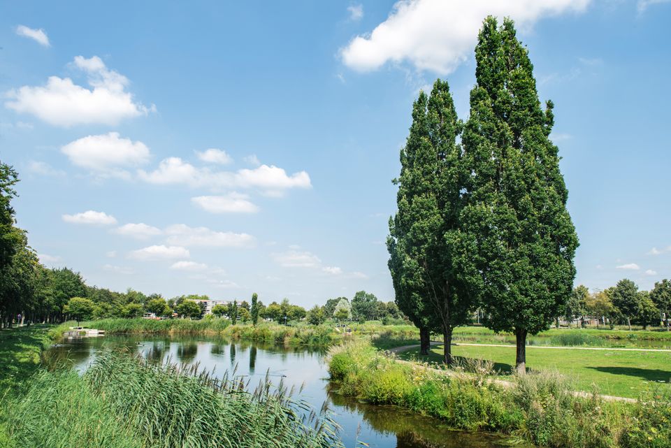 Waterpark slotbossentoren