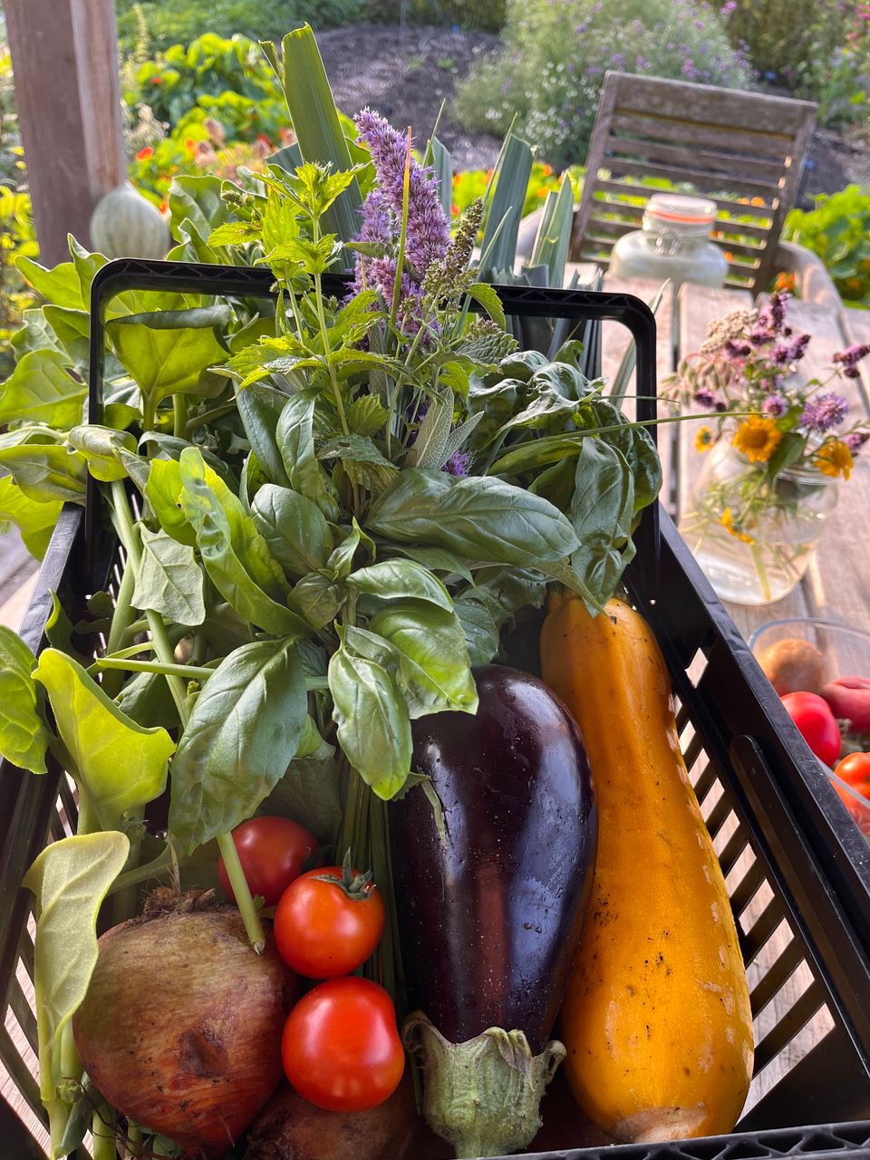 Pluktuin Proeftuin van Linschoten in Linschoten, Groene Hart, krat met vers geoogste groenten en kruiden zoals tomaten, aubergine, courgette en basilicum.