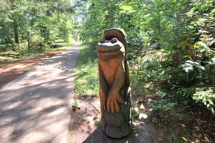 Familiepad Drents-Friese Wold
