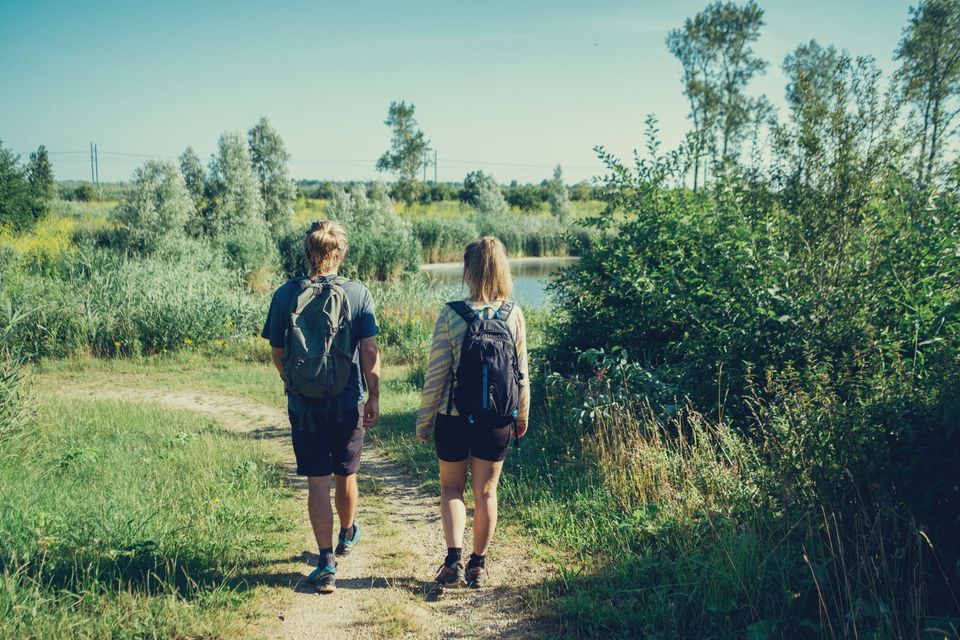 Wandelen in Almere kotterbos