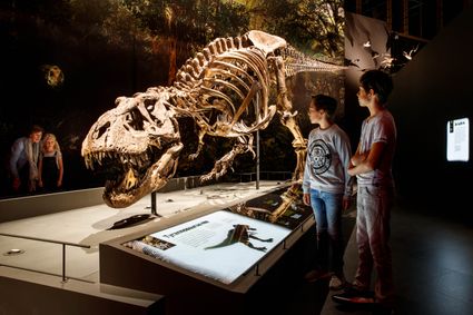 Naturalis zaal Dinotijd