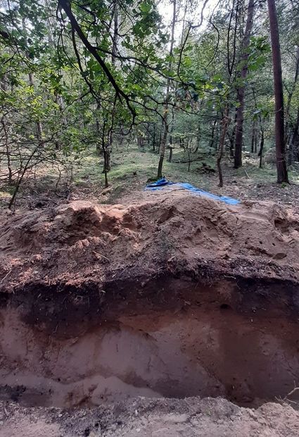 Dwarsdoorsnede door de aarden wal, die duidelijk zichtbaar naar achteren doorloopt in het bos (Wouter Hinrichs).