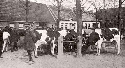 Noordwestelijk marktplein in De Beemster