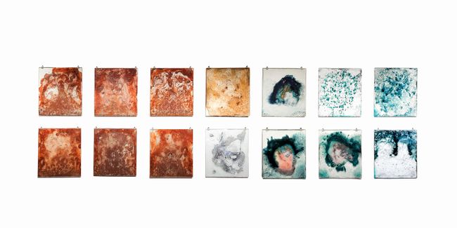 Tentoonstelling A Fired Forest bij RUIS